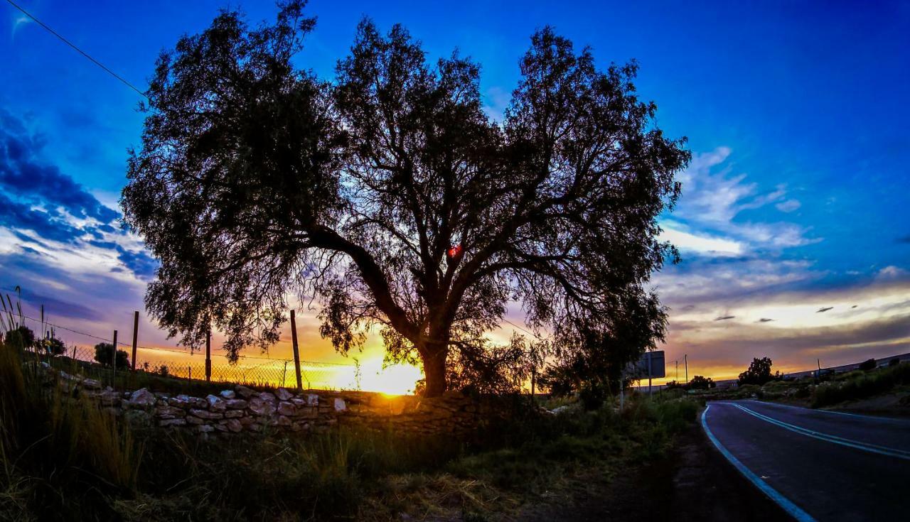 Sol Del Desierto Villa Chiuchiu Dış mekan fotoğraf