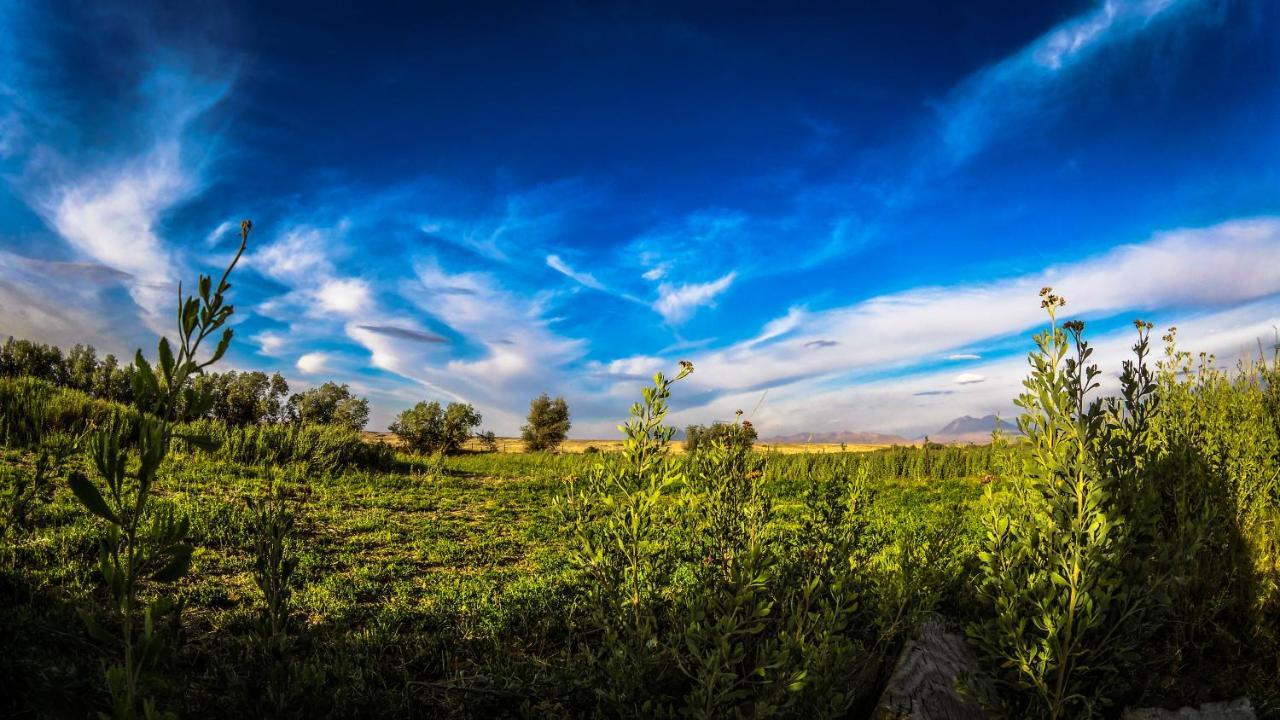 Sol Del Desierto Villa Chiuchiu Dış mekan fotoğraf