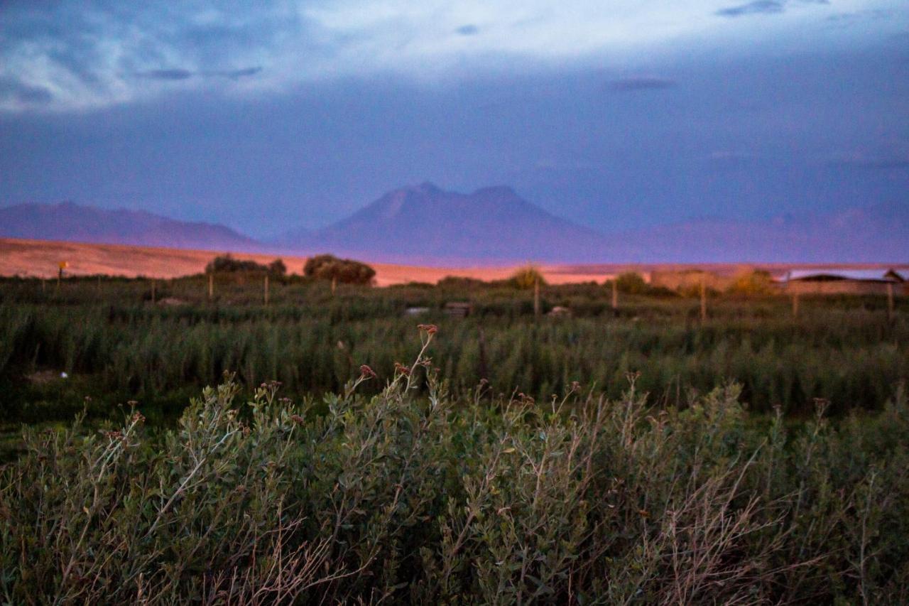 Sol Del Desierto Villa Chiuchiu Dış mekan fotoğraf